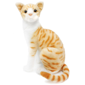 Orange Tabby Cat 