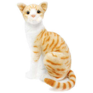 Orange Tabby Cat 