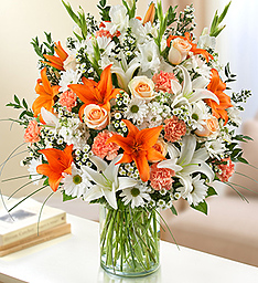 Category Image