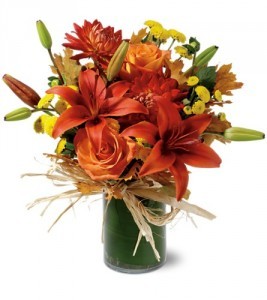 Orange Zest HFWEB68