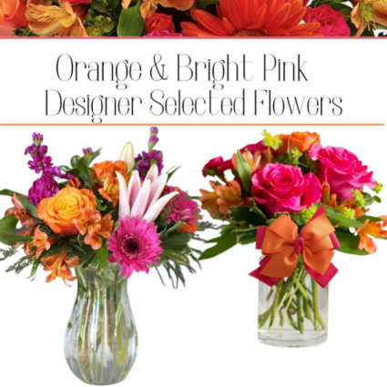 Orange/Bright Pink-Designer’s Choice