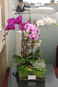 ORCHID 05