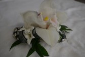 orchid and black  wrist corsage