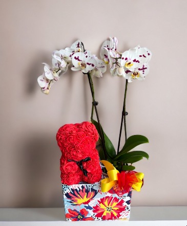 Orchid and flower bear   in Pensacola, FL | Cordova Flowers and Gifts