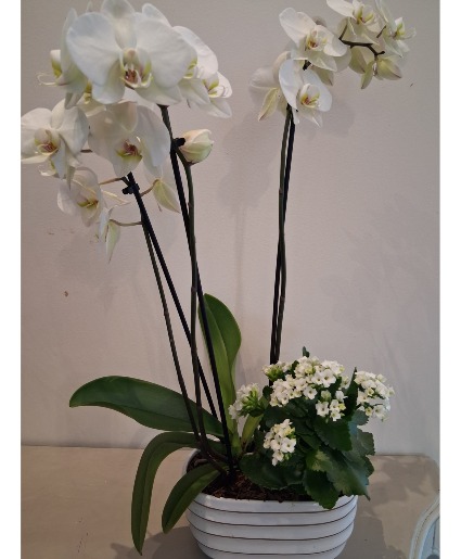 Orchid and Kalanchoe Planter 