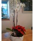 Orchid and Poinsettia Christmas Planter  