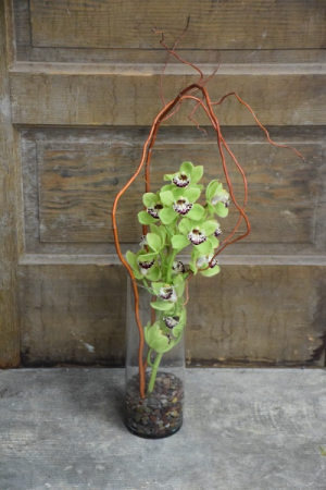Orchid and Willow Vased Arrangement