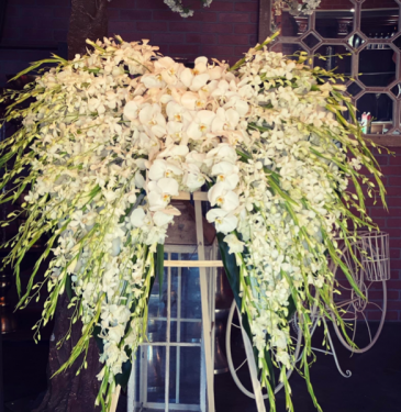 Orchid  Angel wings   in Ozone Park, NY | Heavenly Florist