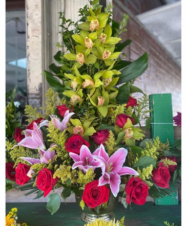 Orchid Arrangements  in Bronx, NY | Fordham Flowers