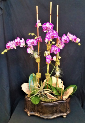 Orchid Art Plant in Boca Raton, FL | Flowers of Boca Orchid Art Plant in Boca Raton, FL | Flowers of Boca