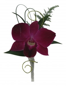 Orchid  B32-17 Boutonniere