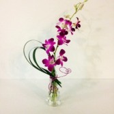 Blooming Affection Orchid in glass vase