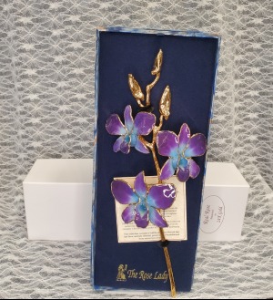 Orchid - Blue/Purple Gold Dipped 