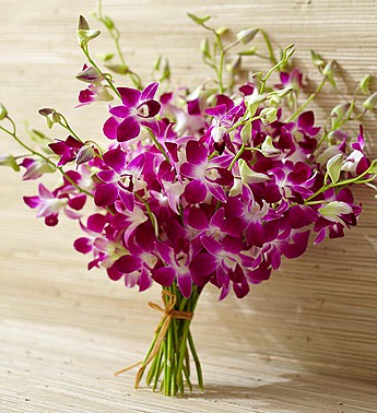 20 Stem Orchid Bouquet