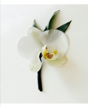 Orchid Boutonniere Premium Bout