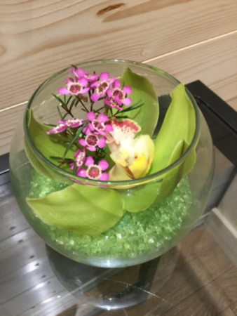 Orchid Bowl - sorry sold out 