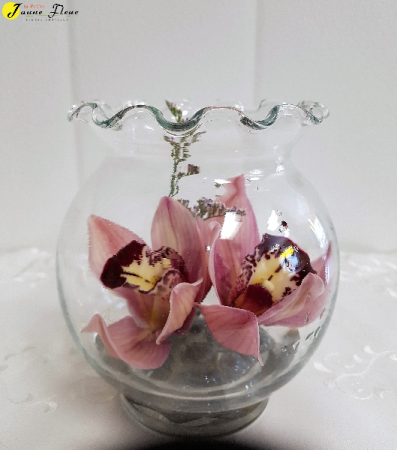 AP-Orchid Bowl SPECIAL