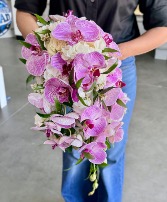 Orchid Cascade 