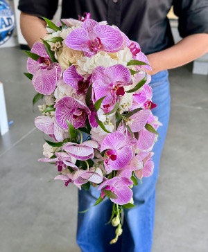 Orchid Cascade 