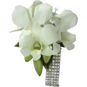 Orchid Corsage