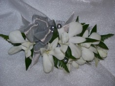 Category Image