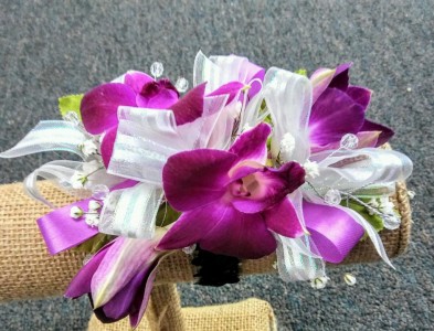 Tropical Beauty Orchid Corsage