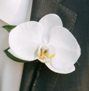 ORCHID CORSAGE ELEGANT MIXTURE OF FLOWERS