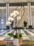 Purchase this funeral home arrangement