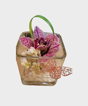 Orchid Desk Buddy 