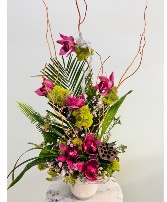Orchid Eleganca By Enchanted Florist of Cape Coral 