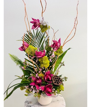 Orchid Elegance By Enchanted Florist of Cape Coral 