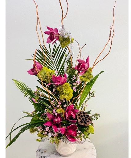 Orchid Eleganca By Enchanted Florist of Cape Coral 