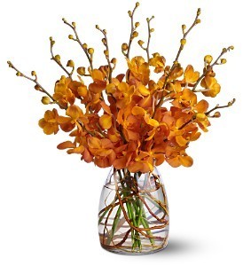 Orchid Embers  in Fort Lauderdale, FL | ENCHANTMENT FLORIST