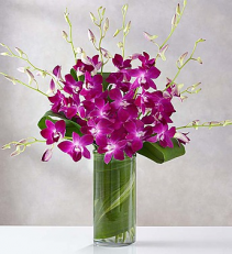 Orchid Embrace™ - Purple Arrangement