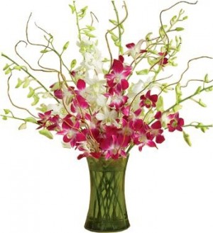 Orchid Embrace Arrangement In Rockville Md Rockville Florist Gift Baskets