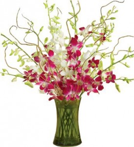 ORCHID EMBRACE BOUQUET