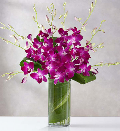 Orchid Embrace Now  Vase