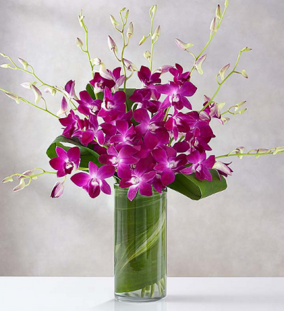 Orchid Embrace Now $99 Vase