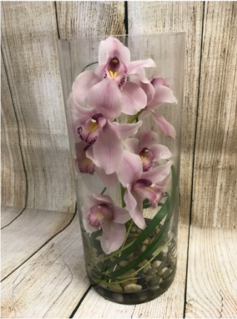 Orchid Floats