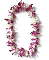 Orchid Lei 
