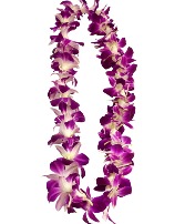 Orchid Lei 