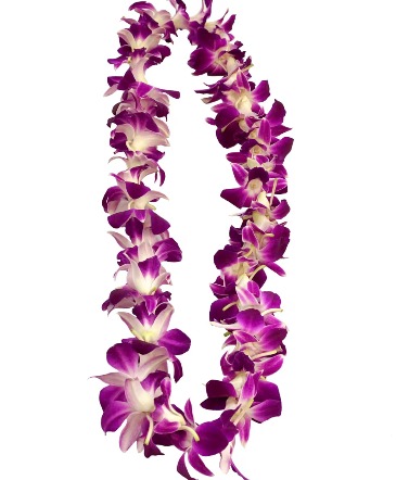 Orchid Lei  in Flagstaff, AZ | Floral Arts of Flagstaff