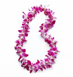Category Image