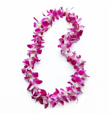 Orchid Lei in Chehalis, WA | BENNY'S FLORIST & GREENHOUSE Orchid Lei in Chehalis, WA | BENNY'S FLORIST & GREENHOUSE