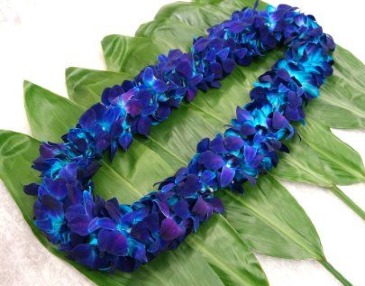 Orchid Lei- BLUE (Limited Quantities) POPULAR in Whittier, CA | Rosemantico Flowers