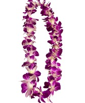 Orchid Lei Graduation Gift
