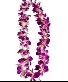 Orchid Lei Graduation Gift
