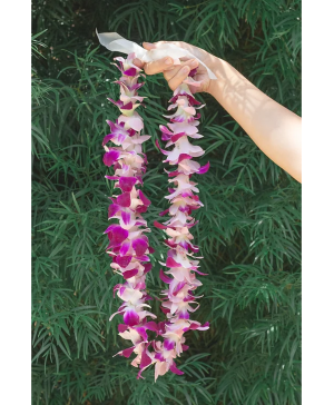Orchid Lei Lei