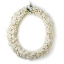 White Orchid Leis 10 days Notice Required 