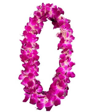 Graduation Orchid Leis   ((DOUBLE))FLOWERS Orchid Leis  Doubles  In A Clear Presentation  Box ((Pickup Only))   